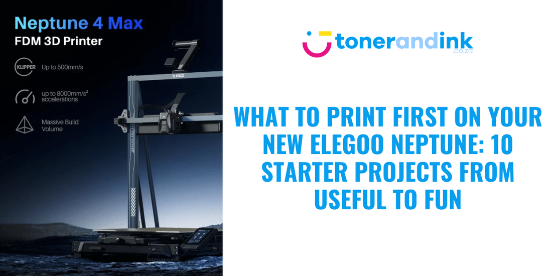 What to Print First on Your New ELEGOO Neptune: 10 Starter Projects From Useful to Fun