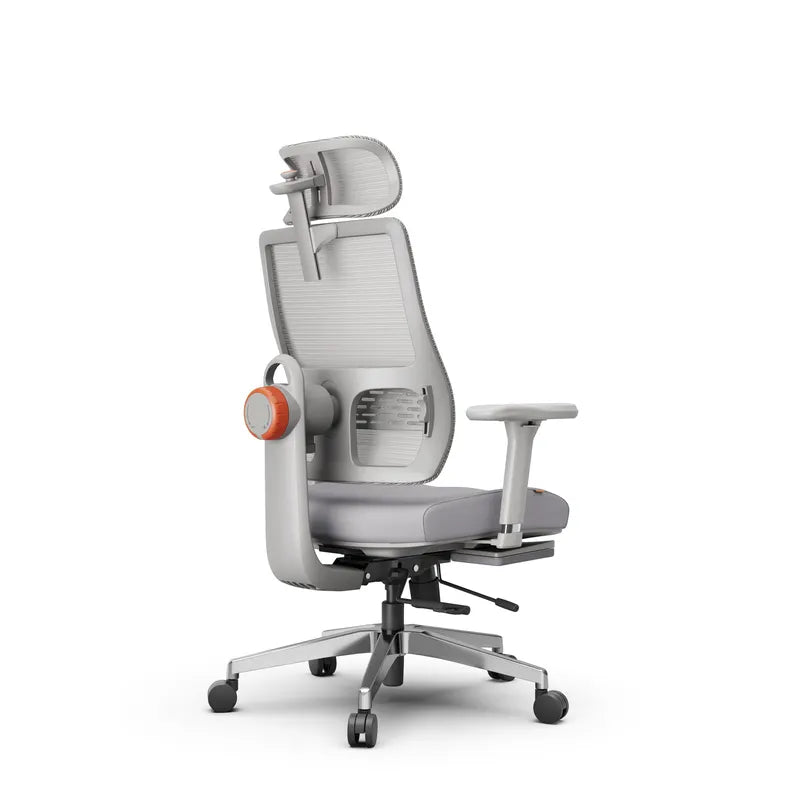 ARORA Ergonomic Plus Office Chair With Footrest