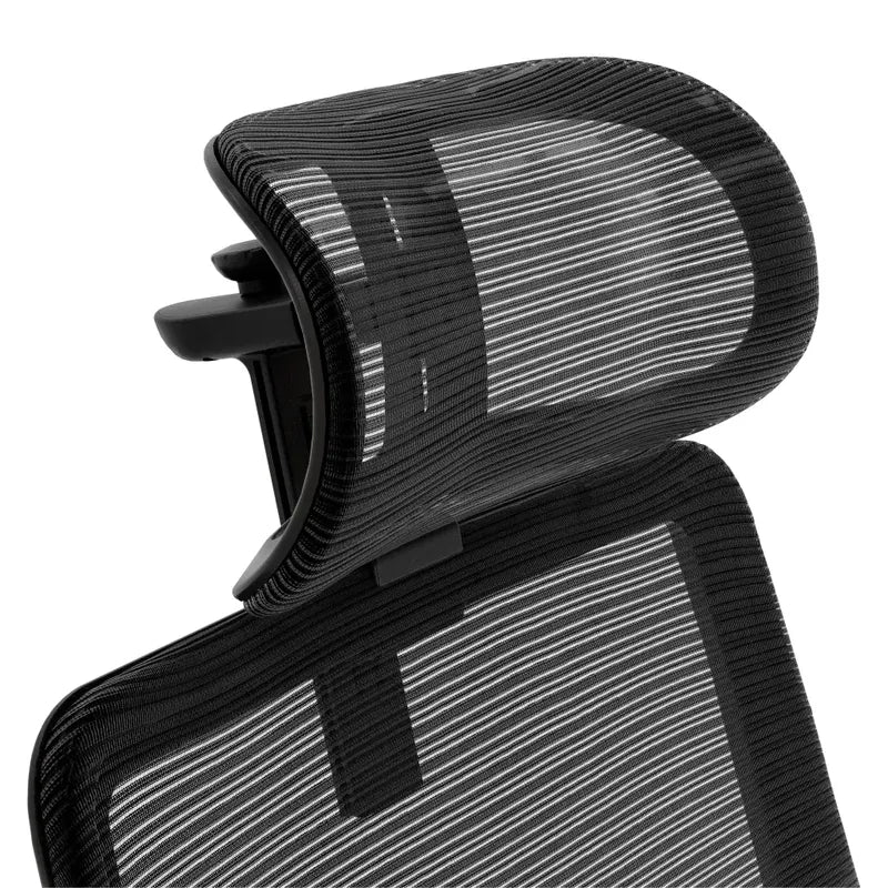 ARORA Ergonomic Plus Office Chair