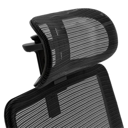 ARORA Ergonomic Plus Office Chair