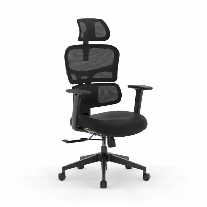 ARORA Ergonomic Pro Office Chair