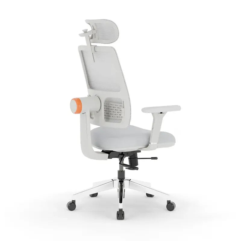 ARORA Ergonomic Plus Office Chair