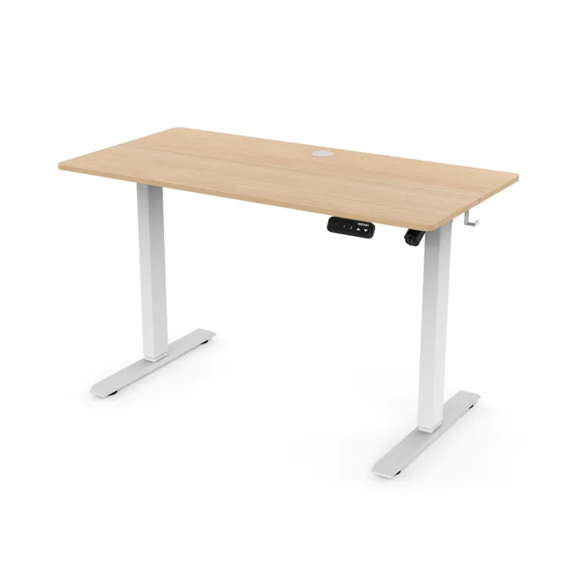ARORA Premium Single Motor Standing Desk