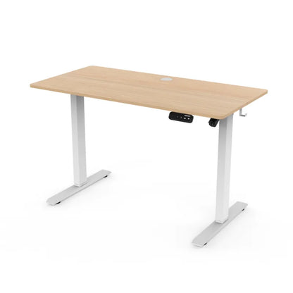 ARORA Premium Single Motor Standing Desk